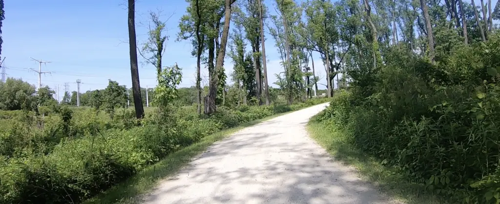 Looking ahead at a gravel path through a forest with meadow or swamp and electric and light poles in the far background.